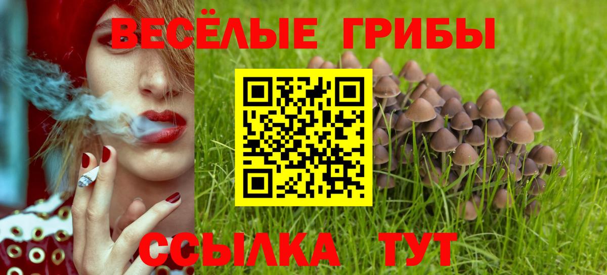 Амурск  Галлюциногенные грибы MAGIC MUSHROOMS  где продают наркотики  Вход с VPN 