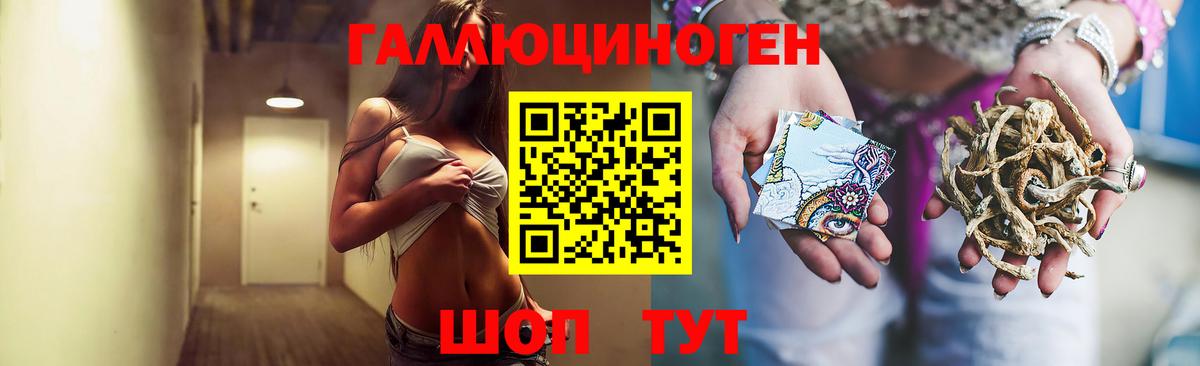 Галлюциногенные грибы Psilocybe Амурск